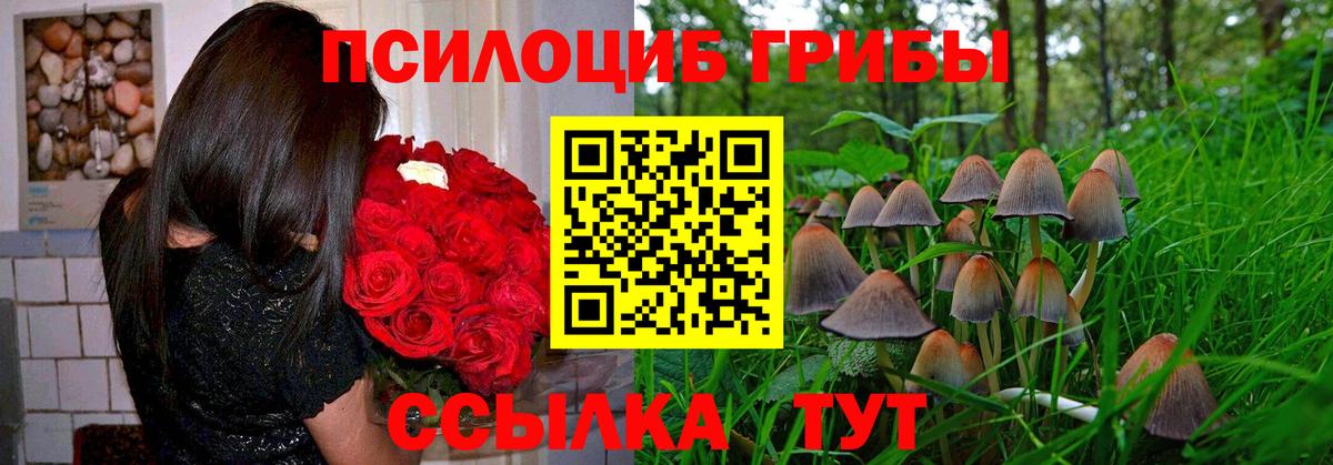 Галлюциногенные грибы мухоморы Советская Гавань